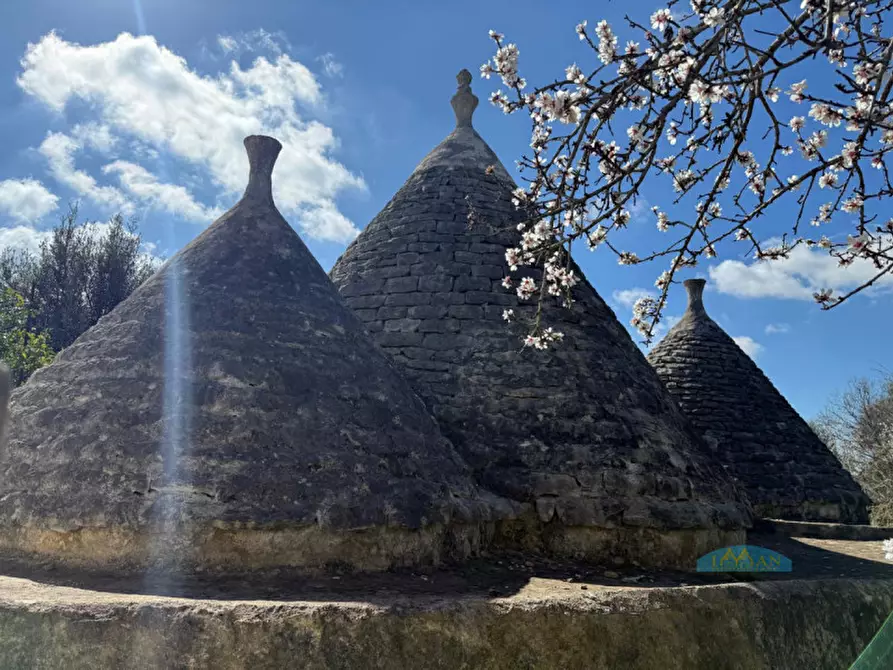 Immagine 3 di Rustico / casale in vendita  in Contrada Sciatonna a Ceglie Messapico