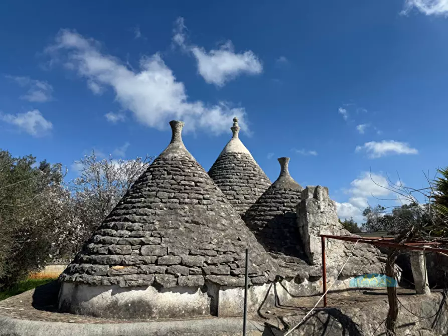 Immagine 3 di Rustico / casale in vendita  in Contrada Sciatonna a Ceglie Messapico