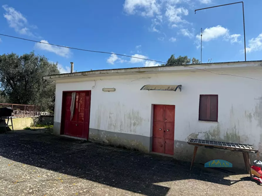 Immagine 4 di Rustico / casale in vendita  in Contrada Sciatonna a Ceglie Messapico