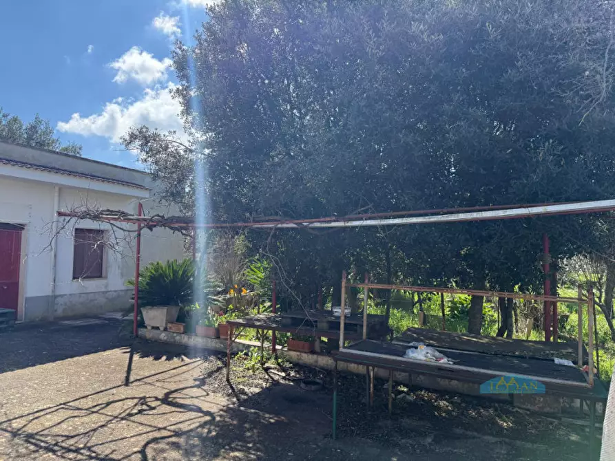 Immagine 6 di Rustico / casale in vendita  in Contrada Sciatonna a Ceglie Messapico