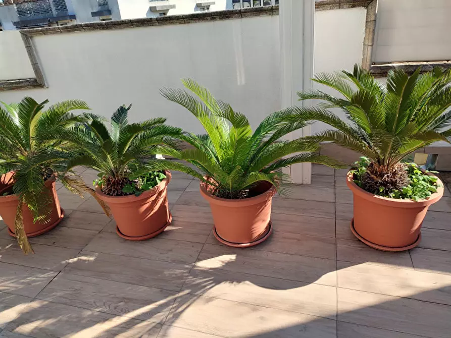 Immagine 10 di Attico in vendita  a Padova