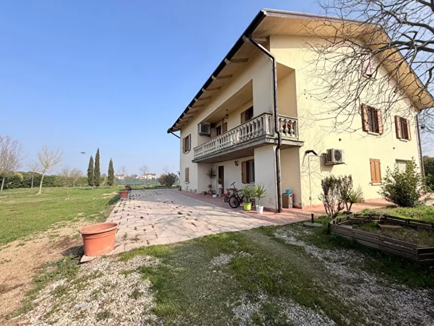 Immagine 41 di Casa indipendente in vendita  in coenzo a Sorbolo Mezzani