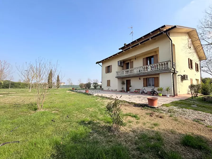 Immagine 42 di Casa indipendente in vendita  in coenzo a Sorbolo Mezzani