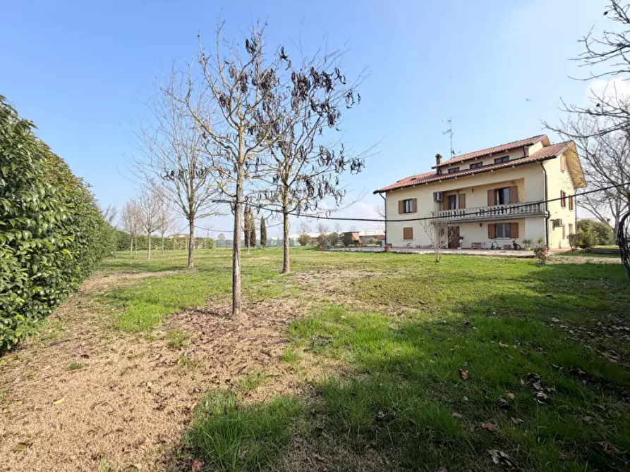 Immagine 47 di Casa indipendente in vendita  in coenzo a Sorbolo Mezzani