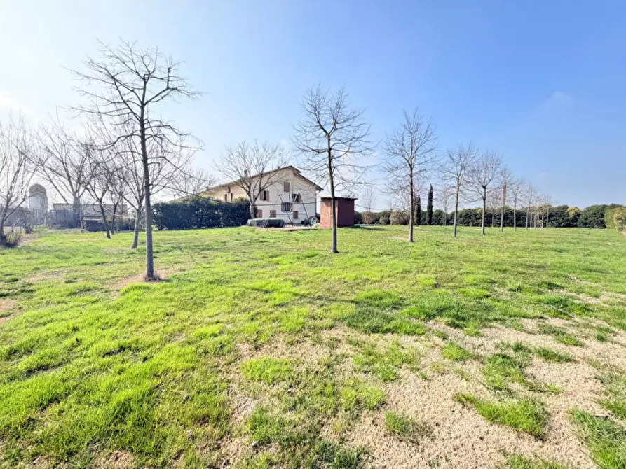 Immagine 48 di Casa indipendente in vendita  in coenzo a Sorbolo Mezzani