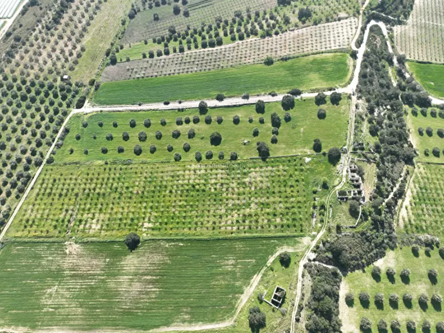 Immagine 7 di Terreno in vendita  a Noto