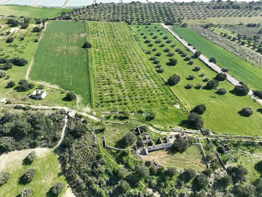 Immagine 8 di Terreno in vendita  a Noto