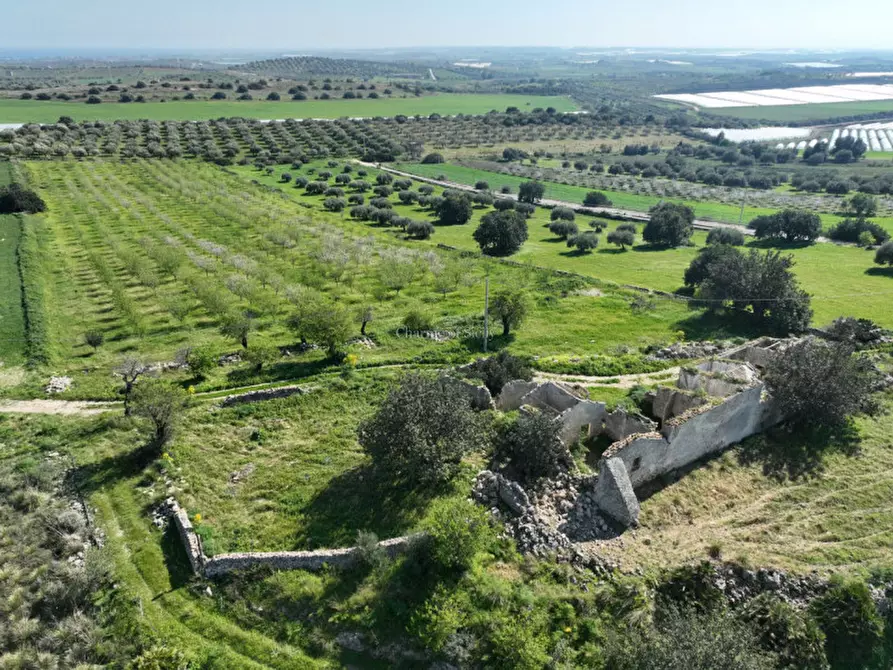 Immagine 9 di Terreno in vendita  a Noto