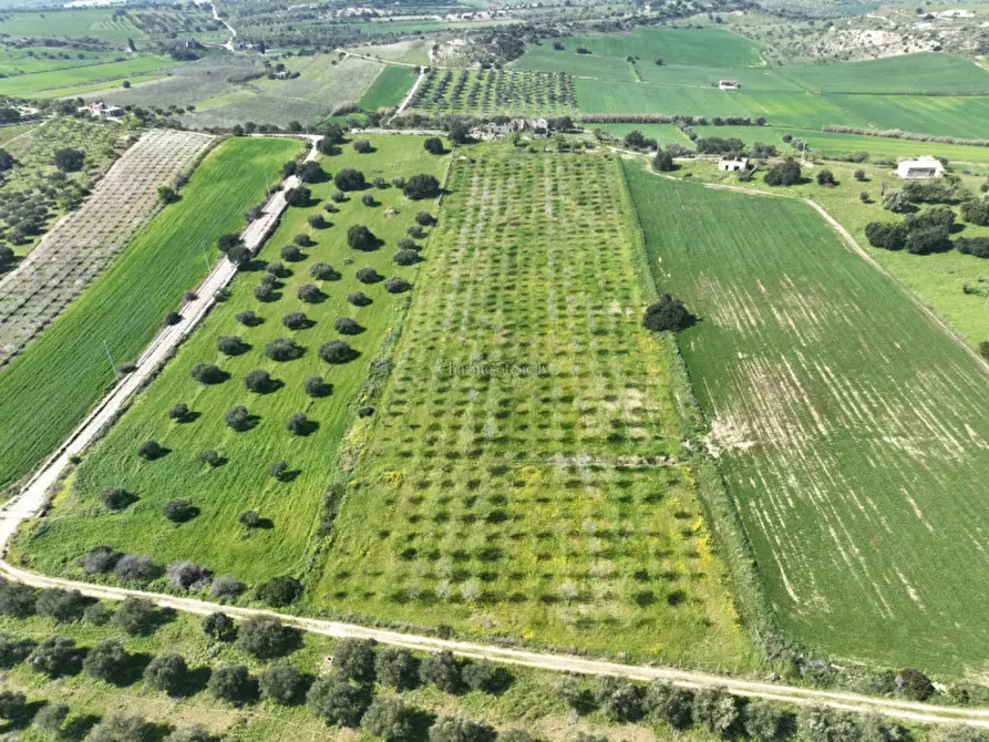 Immagine 15 di Terreno in vendita  a Noto