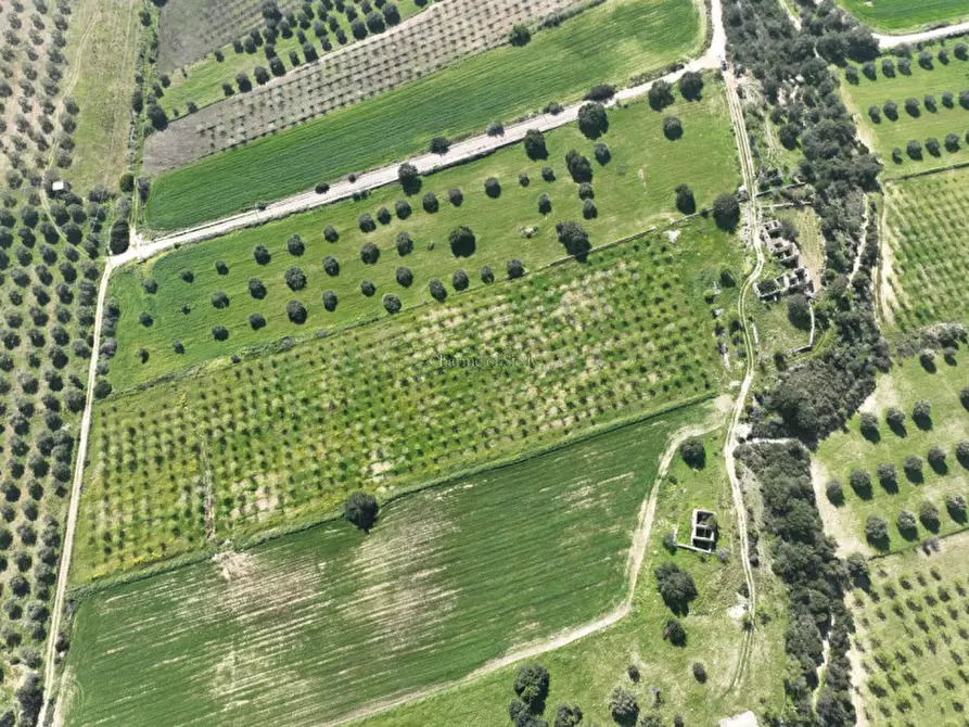 Immagine 18 di Terreno in vendita  a Noto