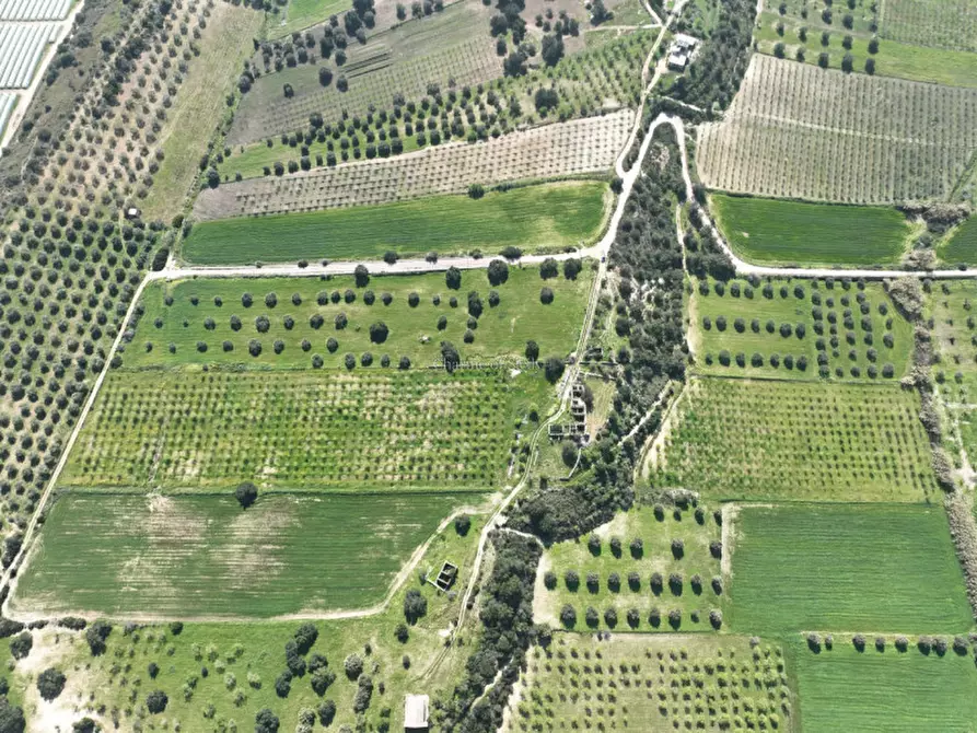 Immagine 20 di Terreno in vendita  a Noto