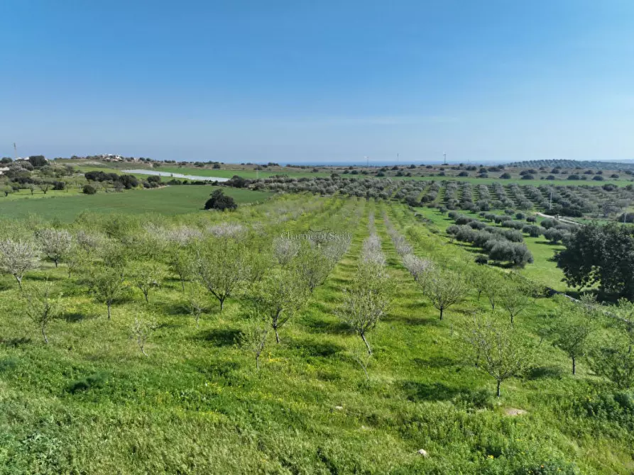 Immagine 23 di Terreno in vendita  a Noto