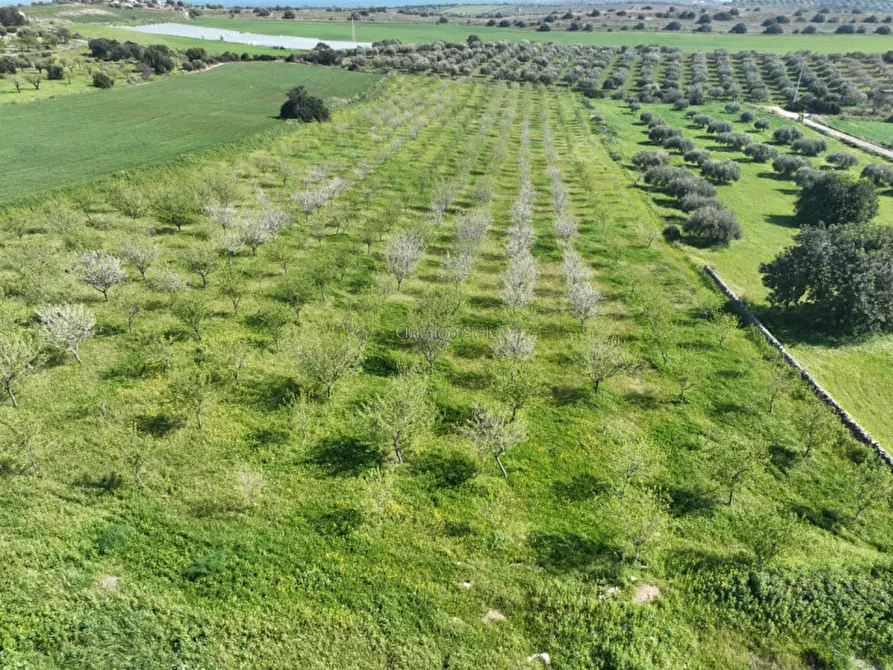 Immagine 25 di Terreno in vendita  a Noto