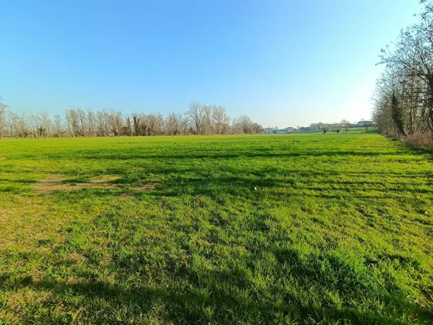 Immagine 3 di Terreno in vendita  in Via Statale a Calcinato