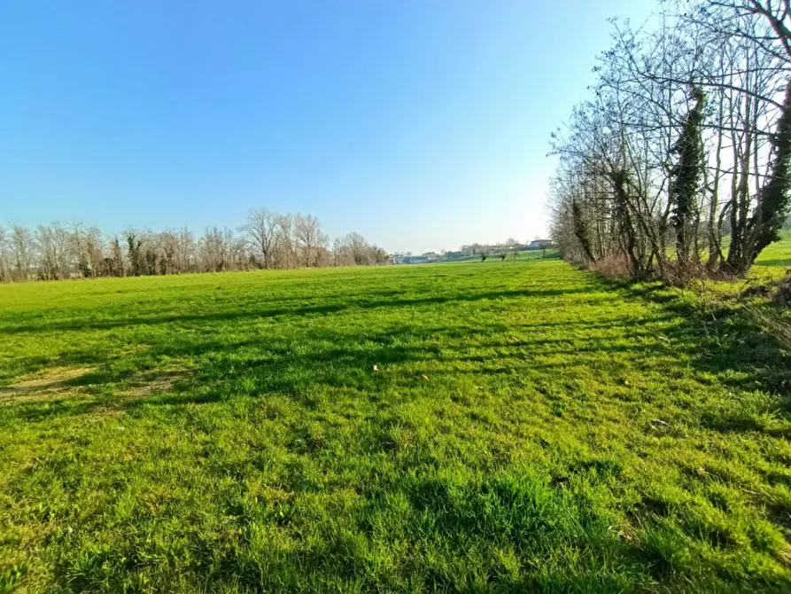 Immagine 5 di Terreno in vendita  in Via Statale a Calcinato