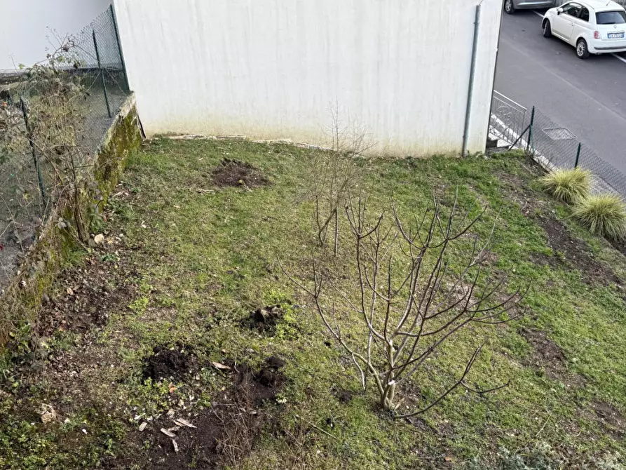 Immagine 13 di Appartamento in vendita  a Badia Calavena