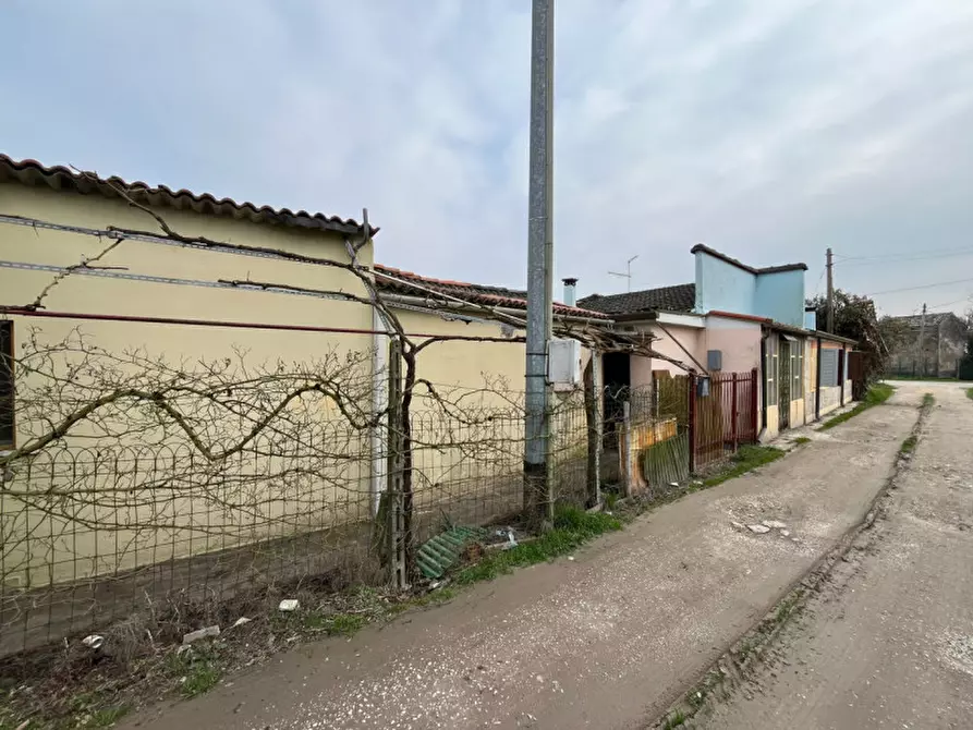 Immagine 5 di Casa indipendente in vendita  in Via Ca' Manzon a Castelbaldo
