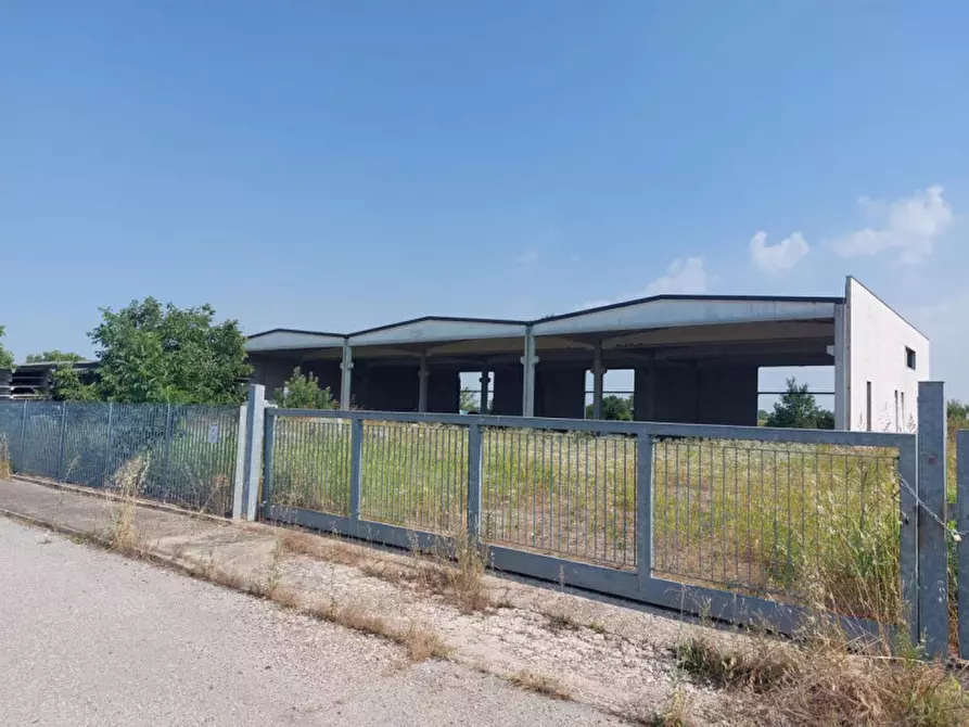 Immagine 1 di Capannone industriale in vendita  in Via Giovanni Marcora, N. snc a Rodigo