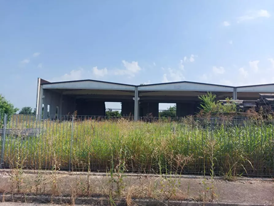 Immagine 3 di Capannone industriale in vendita  in Via Giovanni Marcora, N. snc a Rodigo