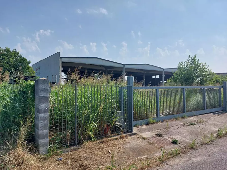Immagine 5 di Capannone industriale in vendita  in Via Giovanni Marcora, N. snc a Rodigo