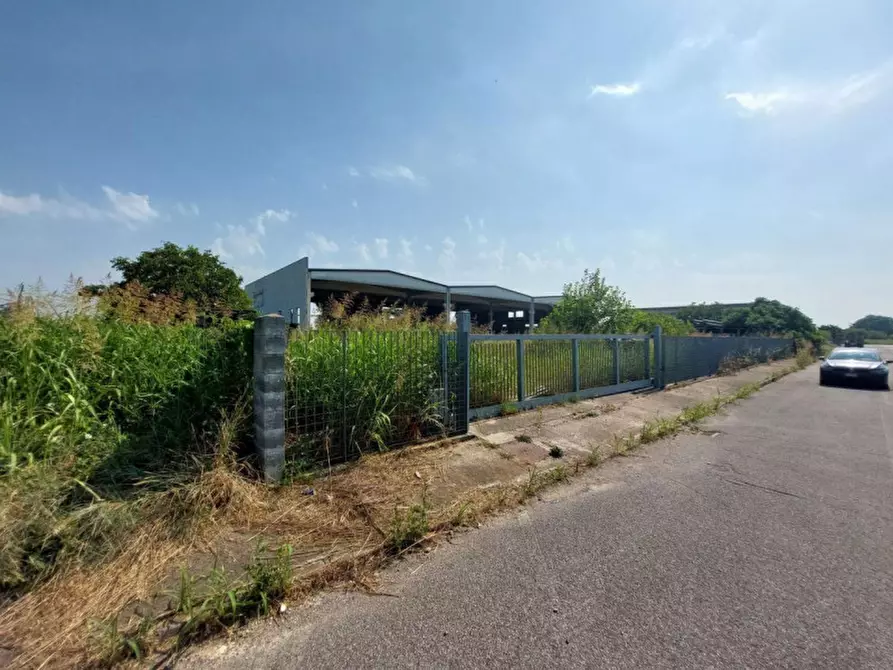 Immagine 6 di Capannone industriale in vendita  in Via Giovanni Marcora, N. snc a Rodigo