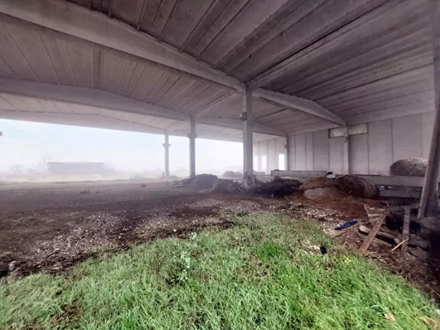 Immagine 13 di Capannone industriale in vendita  in Via Giovanni Marcora, N. snc a Rodigo