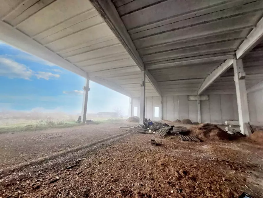 Immagine 16 di Capannone industriale in vendita  in Via Giovanni Marcora, N. snc a Rodigo