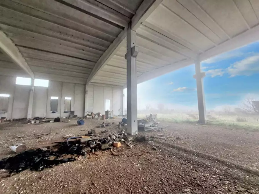 Immagine 22 di Capannone industriale in vendita  in Via Giovanni Marcora, N. snc a Rodigo