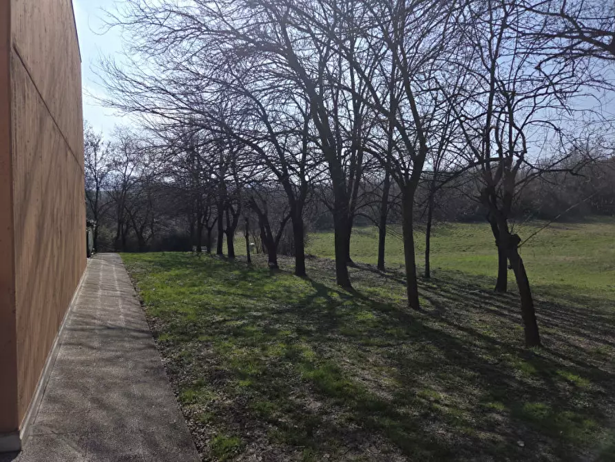 Immagine 8 di Villetta a schiera in vendita  in via francobernardoni a Zola Predosa