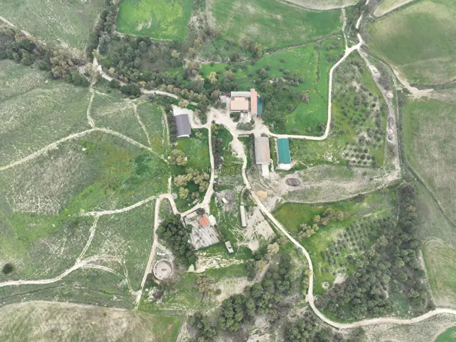Immagine 3 di Terreno in vendita  in Strada Vicinale Canneti a Calascibetta