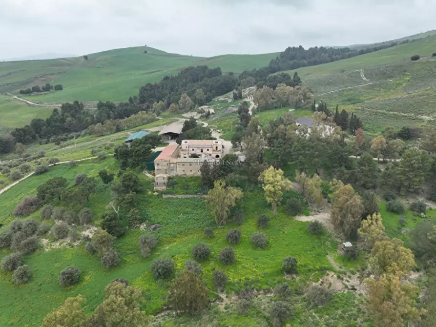 Immagine 4 di Terreno in vendita  in Strada Vicinale Canneti a Calascibetta