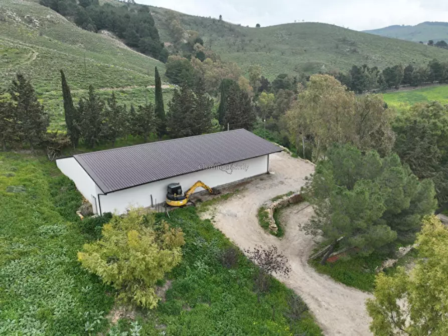 Immagine 8 di Terreno in vendita  in Strada Vicinale Canneti a Calascibetta
