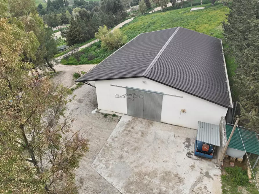 Immagine 9 di Terreno in vendita  in Strada Vicinale Canneti a Calascibetta