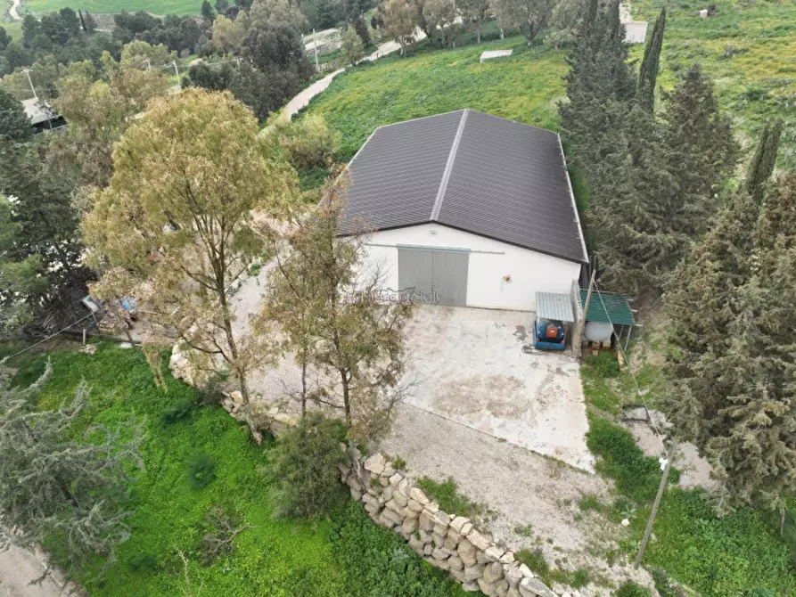 Immagine 10 di Terreno in vendita  in Strada Vicinale Canneti a Calascibetta