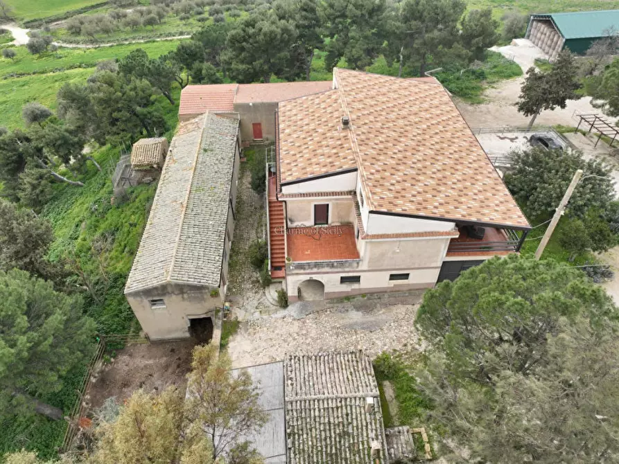 Immagine 11 di Terreno in vendita  in Strada Vicinale Canneti a Calascibetta
