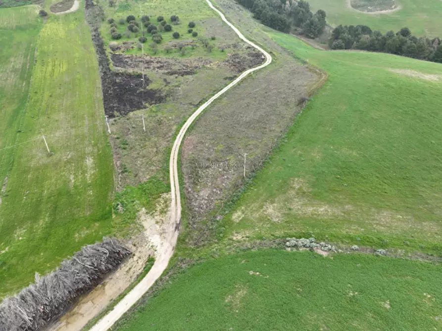 Immagine 13 di Terreno in vendita  in Strada Vicinale Canneti a Calascibetta