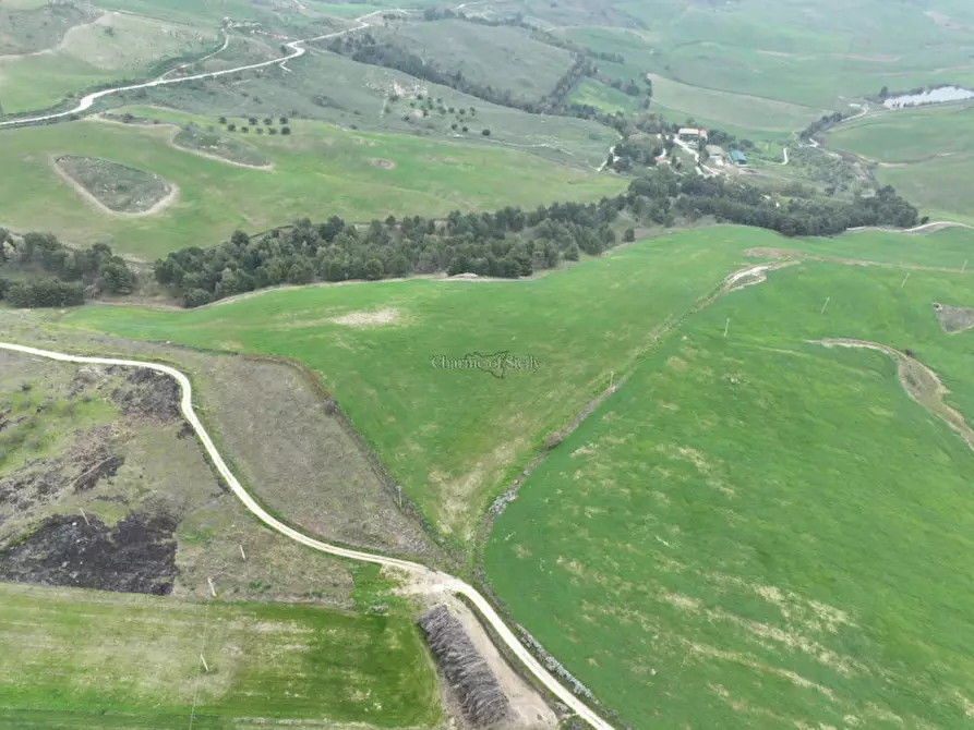 Immagine 15 di Terreno in vendita  in Strada Vicinale Canneti a Calascibetta