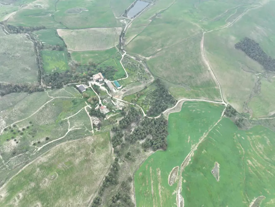 Immagine 17 di Terreno in vendita  in Strada Vicinale Canneti a Calascibetta