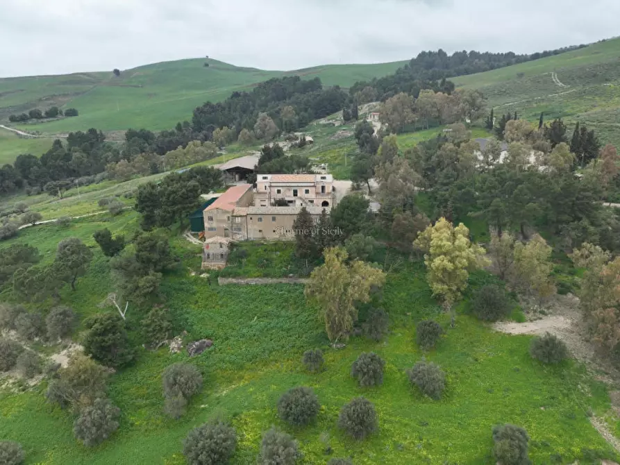 Immagine 23 di Terreno in vendita  in Strada Vicinale Canneti a Calascibetta