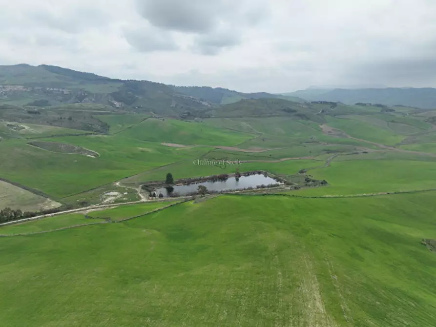 Immagine 24 di Terreno in vendita  in Strada Vicinale Canneti a Calascibetta
