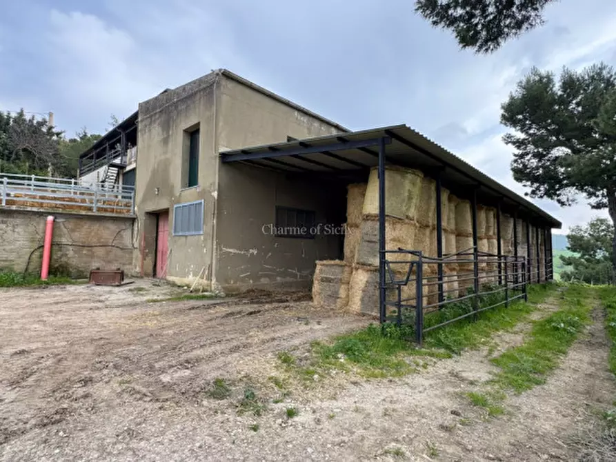 Immagine 29 di Terreno in vendita  in Strada Vicinale Canneti a Calascibetta