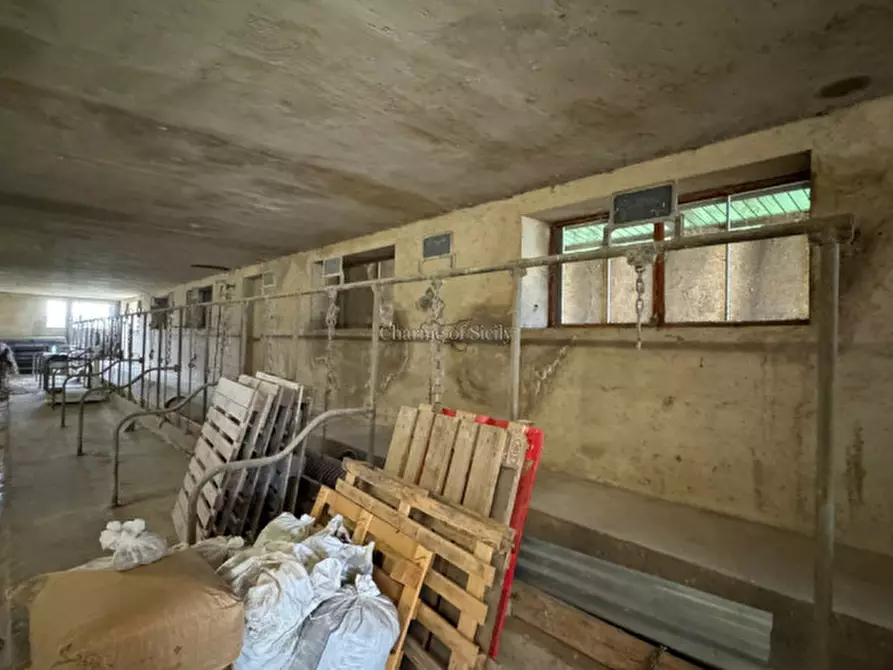 Immagine 34 di Terreno in vendita  in Strada Vicinale Canneti a Calascibetta