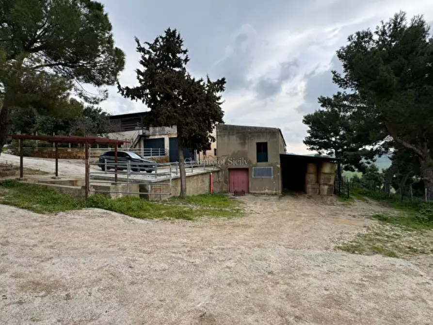 Immagine 35 di Terreno in vendita  in Strada Vicinale Canneti a Calascibetta