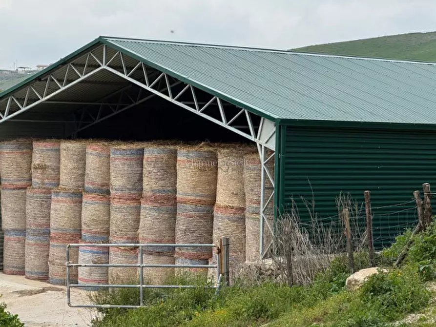 Immagine 37 di Terreno in vendita  in Strada Vicinale Canneti a Calascibetta