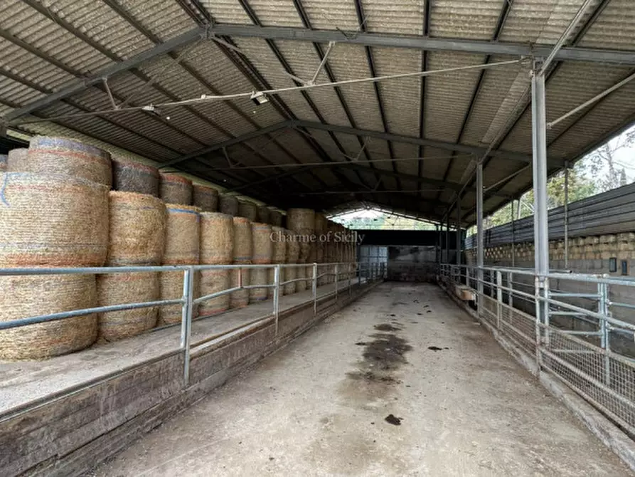 Immagine 41 di Terreno in vendita  in Strada Vicinale Canneti a Calascibetta