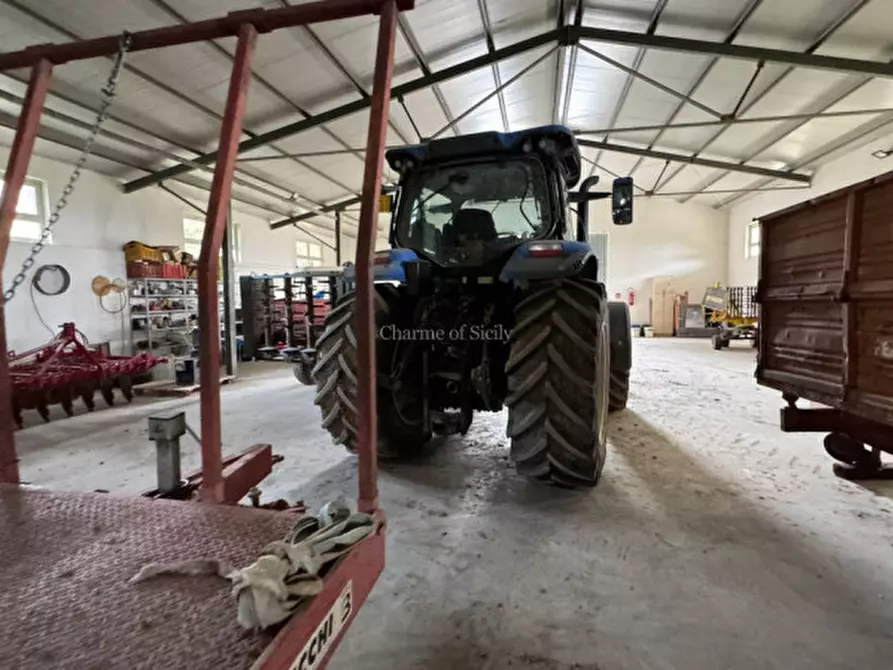 Immagine 44 di Terreno in vendita  in Strada Vicinale Canneti a Calascibetta