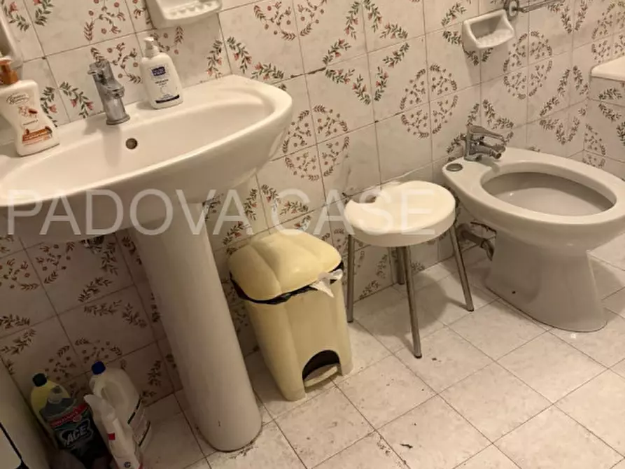 Immagine 4 di Appartamento in vendita  in via Palestro a Padova