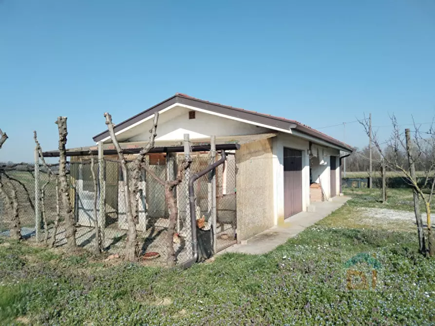 Immagine 5 di Casa indipendente in vendita  in via dei Banduzzi 52 a Bagnaria Arsa