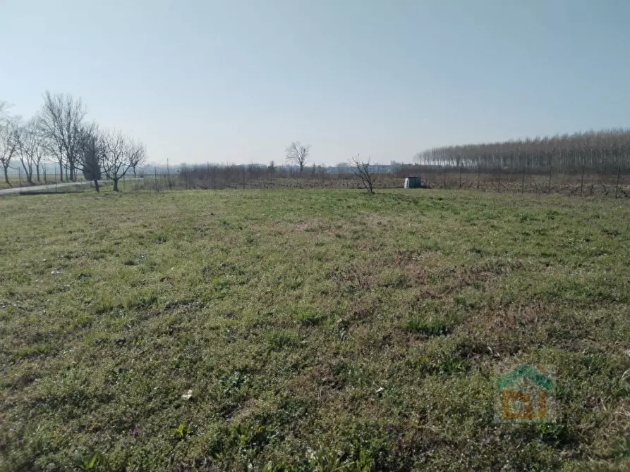 Immagine 10 di Casa indipendente in vendita  in via dei Banduzzi 52 a Bagnaria Arsa