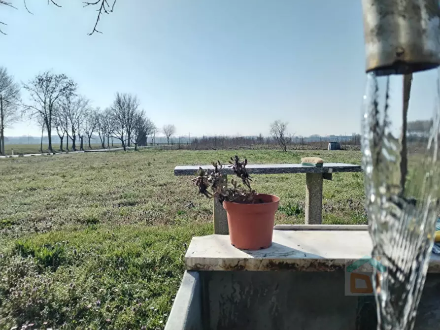 Immagine 11 di Casa indipendente in vendita  in via dei Banduzzi 52 a Bagnaria Arsa